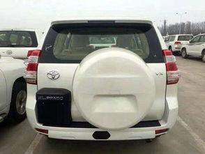 霸道以后会国产么吗视频,国产化进程展望